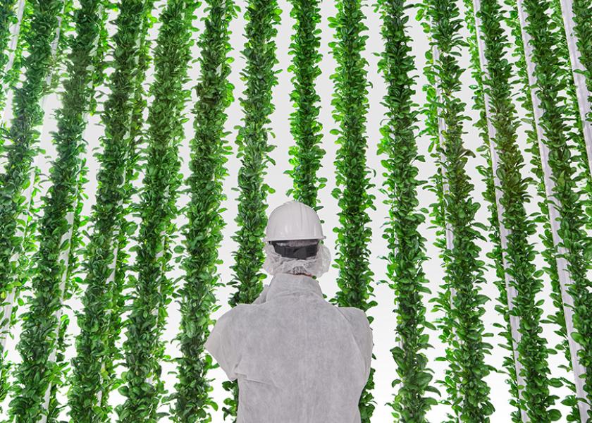 Plenty unveils its first commercial farm in Compton The Packer